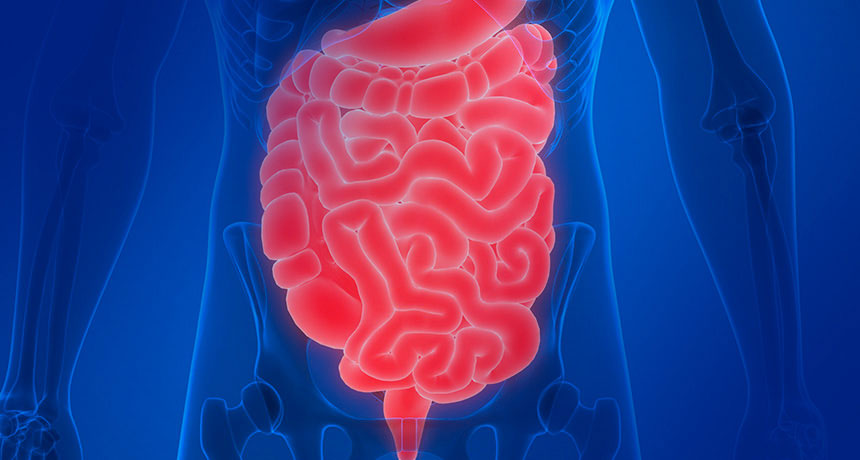 Cáncer gastrointestinal