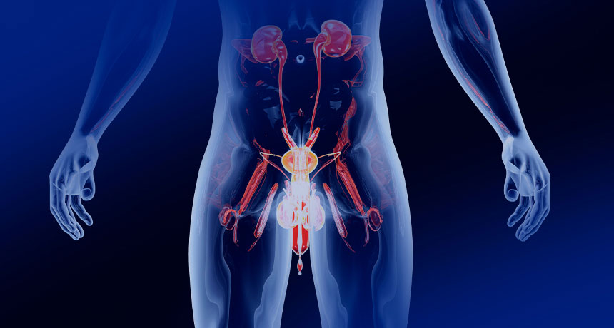 Cáncer urotelial